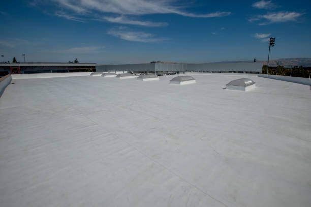 Professional Roofing Services in Milton, DE